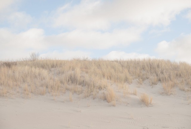 Strip dunes